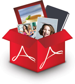 PDF Brochure & Catalogs